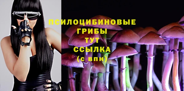 тгк Белокуриха
