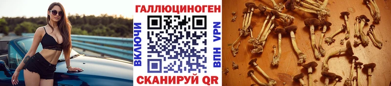 Галлюциногенные грибы GOLDEN TEACHER Рыбинск